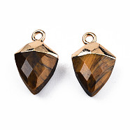 Natural Tiger Eye Pendants, with Light Gold Plated Iron Findings, Faceted, Kite Charm, 18.5x11.5~12x6mm, Hole: 1.6mm(G-N326-134-01)