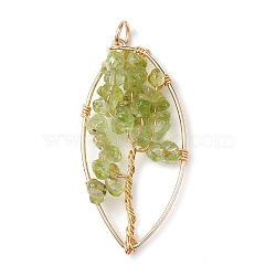 Natural Peridot Chip Pendants, Golden Plated Brass Leaf Charms, 35~37x17~19x4.5~6.5mm, Hole: 3.3mm(PALLOY-JF02596-01)