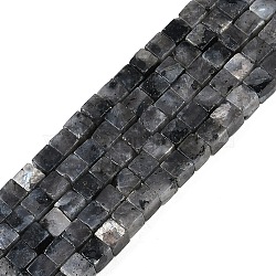 Natural Larvikite Beads Strands, Cube, 3.5x3.5x3.5mm, Hole: 0.7mm, about 110pcs/strand, 15.16''(38.5cm)(G-B129-A22-01)