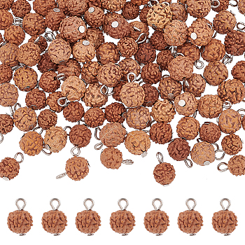 120Pcs Undyed Natural Rudraksha Charms, with Platinum Tone Iron Loops, Round, Saddle Brown, 12~13x8mm, Hole: 1.5~2mm