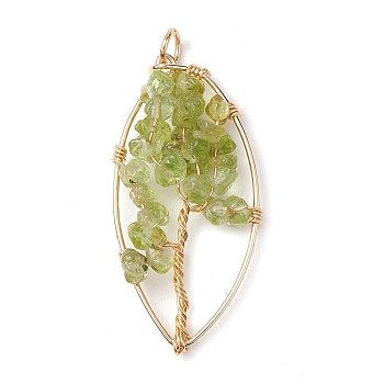 Natural Peridot Chip Pendants, Golden Plated Brass Leaf Charms, 35~37x17~19x4.5~6.5mm, Hole: 3.3mm