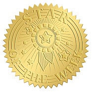 Self Adhesive Gold Foil Embossed Stickers, Medal Decoration Sticker, Star Pattern, 50x50mm(DIY-WH0211-309)