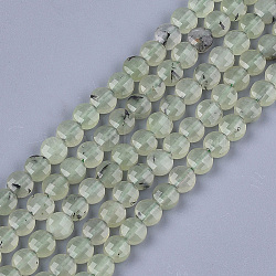 Natural Prehnite Beads Strands, Faceted, Flat Round, 6~6.5x3.5mm, Hole: 0.8mm, about 59~60pcs/strand, 14.9 inch~15.1 inch(G-S354-29)