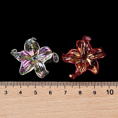 Transparent Acrylic Beads(X-MACR-K358-06B)-3