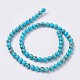 Sea Shell and Synthetic Turquoise Assembled Beads Strands(G-G758-04-6mm)-2