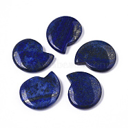 Natural Lapis Lazuli Home Display Decorations, No Hole/Undrilled, Spiral Shell Shape, 32.5~33.5x28.5x6.5~7.5mm(G-T131-12A-03)