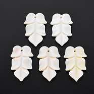 Natural Freshwater Shell Beads, Undyed, Leaf, Floral White, 34.5~36x22.5~23.5x5mm, Hole: 1.6~1.8mm(SHEL-S276-156)