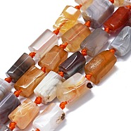 Natural Botswana Agate Beads Strands, Nuggets, 11~14x6~8mm, Hole: 0.9mm, about 28~32pcs/strand, 15.75''(40cm)(G-O170-155)