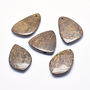 Natural Bronzite Big Pendants, Nuggets, 45~58x35~46x7~9mm, Hole: 2mm(G-K256-69B)