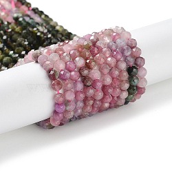 Natural Tourmaline Beads Strands, Round, Faceted, Grade A, 4mm, Hole: 0.7mm, about 98~101pcs/strand, 15.35''~15.55''(39~39.5cm)(G-P514-A04-03)