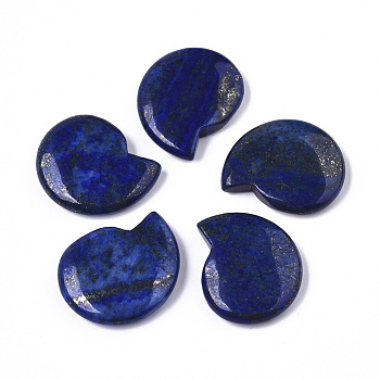 Natural Lapis Lazuli Home Display Decorations, No Hole/Undrilled, Spiral Shell Shape, 32.5~33.5x28.5x6.5~7.5mm