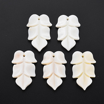 Natural Freshwater Shell Beads, Undyed, Leaf, Floral White, 34.5~36x22.5~23.5x5mm, Hole: 1.6~1.8mm