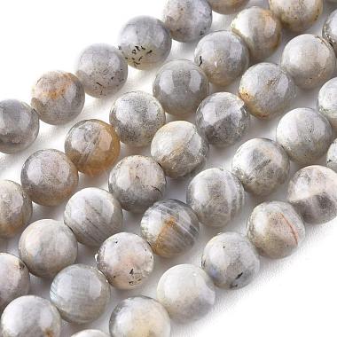 Natural Labradorite Beads Strands(G-G212-8mm-23)-7