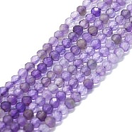 Natural Amethyst Beads Strands, Faceted, Round, 2mm, Hole: 0.5mm, about 215pcs/strand, 15.16''~15.55''(38.5~39.5cm)(G-P457-A01-15)