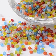 8/0 Transparent Colors Frosted Round Glass Seed Beads, Mixed Color, 2.5~3.5x2~2.5mm, Hole: 0.8~1mm, about 1200pcs/50g(X-SEED-K003-3mm-M03)