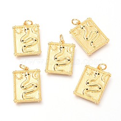 Brass Micro Pave Clear Cubic Zirconia Charms, Rectangle with Snake, Real 18K Gold Plated, 20.5x15x1.8mm, Hole: 3.4mm(ZIRC-O036-20G)