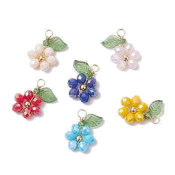 6Pcs 6 Styles Glass Pendants, with Brass Beads and Acrylic Leaf, Flower, Mixed Color, 16x15x4mm, Hole: 2mm, 1pc/style