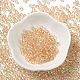 Glass Seed Beads(X1-SEED-H002-A-A611)-2