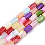 Natural Trochid  Shell Beads Strands, Dyed, Column, Mixed Color, 5x3.5mm, Hole: 0.6mm, about 82~83pcs/strand, 15.67 inch~15.83 inch(39.8cm~40.2cm)(SHEL-S278-069)