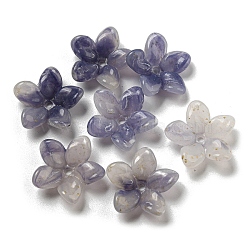 Two-tone Opaque Acrylic Bead Caps, 5-Petal Flower, Indigo, 23x7.5mm, Hole: 2mm(OACR-G034-05C)