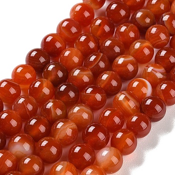 Natural Striped Agate/Banded Agate Beads Strands, Dyed, Round, Coral, 8mm, Hole: 1.2mm, about 24pcs/strand, 7.48''(19cm)