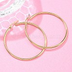 Ion Plating(IP) 304 Stainless Steel Hoop Earrings, Hypoallergenic Earrings, Ring Shape, Real 18K Gold Plated, 50x2mm, 12 Gauge, Pin: 1x0.7mm(EJEW-N0016-11G-H)