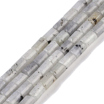 Natural Labradorite Beads Strands, Column, 7.5~8.5x5~6mm, Hole: 1mm, about 45~46pcs/strand, 14.69~15.04 inch(37.3~38.2cm)