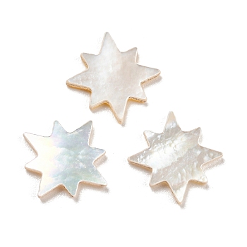 Natural Sea Shell Cabochons, Star, White, 9.5x9.5x1mm