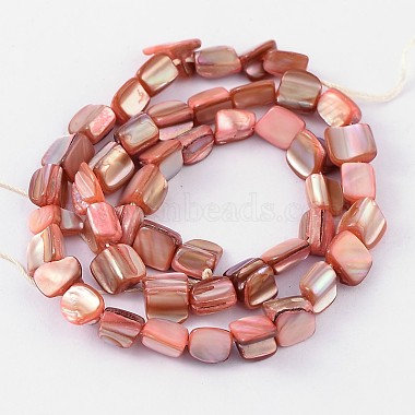 Natural Shell Beads Strands(PBB049Y)-2