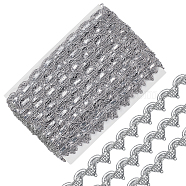 10 Yards Polyester Braided Metallic Lace Trim, for Curtain, Clothes Decoration, Silver, 3/4 inch(18mm)(DIY-WH0491-47A)