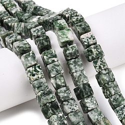 Natural Green Spot Jasper Beads Strands, Cube, 7.5~9x7.5~9x7.5~9mm, Hole: 1.2mm, about 47~49pcs/strand, 15.35~15.79''(39~40.1cm)(G-T139-8x8-23A)