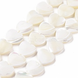 Natural Trochus Shell Beads Strands, Heart, White, 12.5x12.5x4mm, Hole: 0.8mm, about 35pcs/strand, 16.22''(41.2cm)(SSHEL-H070-06D)