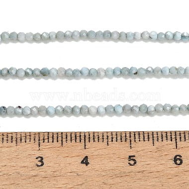 Natural Larimar Beads Strands(GG-CBA77FB-B04-2mm)-4