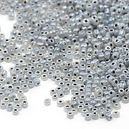 Glass Seed Beads, Ceylon, Round, Dark Gray, 2mm, Hole: 1mm, about 3000pcs/50g(SEED-A011-2mm-149-K)