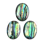 Natural Paua Shell Cabochons, Oval, 18x13x3mm(SSHEL-I026-20A)