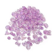 DIY Jewelry Making Finding Kit, Incluidng Transparent Acrylic Charms and Beads, AB Color, Mixed Shapes, Orchid, 11~21x12~27x3~7mm, Hole: 1~2mm, about 74pcs/50g(X1-TACR-A004-02B)
