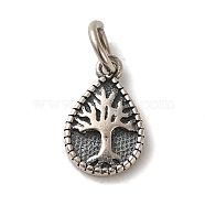 925 Sterling Silver Teardrop with Tree of Life Charms, with Jump Rings & 925 Stamp, Antique Silver, 13x8x1mm, Hole: 3mm(STER-K180-04AS)