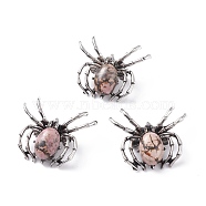 Natural Rhodonite Brooch, with Brass Findings and Glass, Spider, Antique Silver, 34~35x41~42x7mm, Hole: 3x5mm(G-A176-C16)