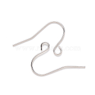 304 Stainless Steel Earring Hooks, Ear Wire, with Horizontal Loop, Stainless Steel Color, 13x22mm, Hole: 2mm, 21 Gauge, Pin: 0.7mm(STAS-S111-009)