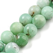 Natural Chrysoprase Beads Strands, Round, 10mm, Hole: 0.9mm, about 38~40pcs/strand, 15.47''~15.87''(39.3~40.3cm)(G-P503-10MM-03)