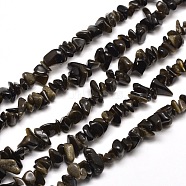 Natural Golden Sheen Obsidian Chip Bead Strands, 5~8x5~8mm, Hole: 1mm, about 31.5 inch(X-G-M205-07)