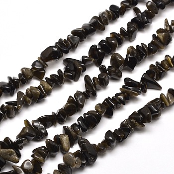 Natural Golden Sheen Obsidian Chip Bead Strands, 5~8x5~8mm, Hole: 1mm, about 31.5 inch