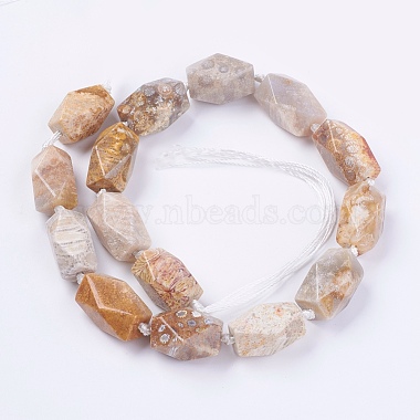 Natural Fossil Coral Beads Strands(G-F554-09)-2