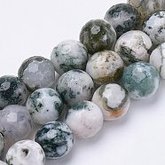 Natural Tree Agate Beads Strands, Faceted, Round, 10mm, Hole: 1.2mm, about 37pcs/strand, 15.3 inch(G-S281-15-10mm)