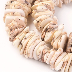 Natural Magnesite Chip Beads, Dyed, Nuggets, Beige, 10~36x9~24x1~4mm, Hole: 0.6mm, about 750pcs/1000g(TURQ-L031-04)