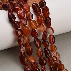 Natural Red Agate Beads Strands, Nuggets, Tumbled Stone, 8~15x7.5~8.5x5~7.5mm, Hole: 1mm, about 41pcs/strand, 15.55''(39.5cm)(GG-CBA7621-B01-01)
