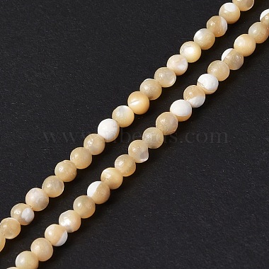 Natural Trochid Shell/Trochus Shell Beads Strands(SSHEL-S266-023B-07)-2