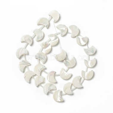 Natural Trochid Shell/Trochus Shell Beads Strands(SHEL-F004-01B)-2