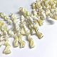 Natural Trochid Shell/Trochus Shell Beads Strands(SSHEL-L016-15)-2