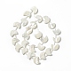 Natural Trochid Shell/Trochus Shell Beads Strands(SHEL-F004-01B)-2
